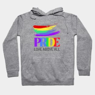 LGBTQ Pride Month T-Shirt Gay Lesbien Queer Trans Community Hoodie